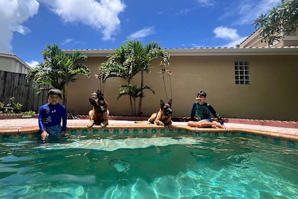 House sit in Doral, FL, US