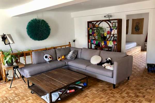 House sit in Montréal, QC, Canada