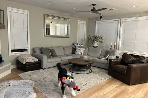 House sit in Carlsbad, CA, US