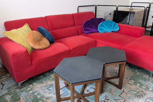 House sit in New York City, NY, US