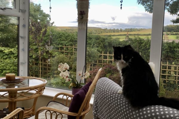 House sit in Preston, United Kingdom