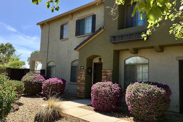 House sit in Phoenix, AZ, US