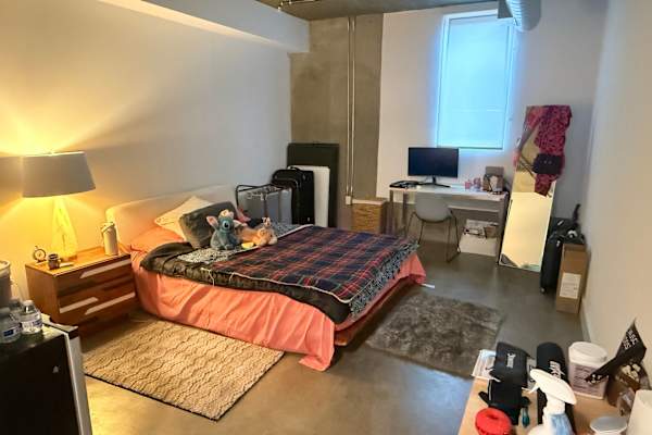 House sit in Marina del Rey, CA, US