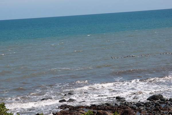 House sit in Pedasí, Panama