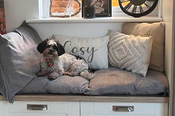 House sit in Dublin, Ireland