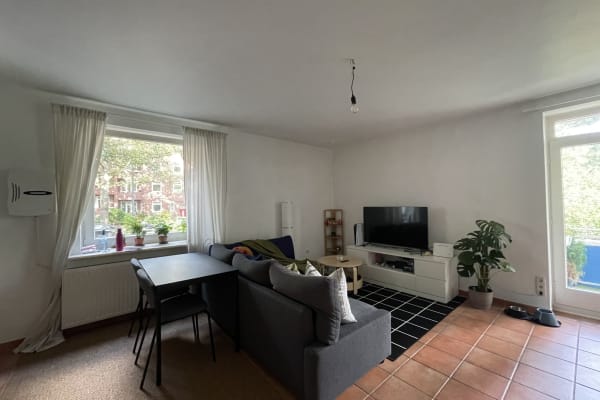 House sit in Hamburg, Germany