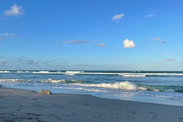 House sit in Palm Beach Gardens, FL, US