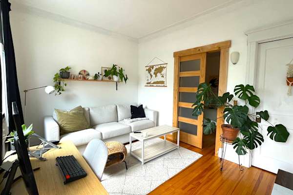 House sit in Montréal, QC, Canada