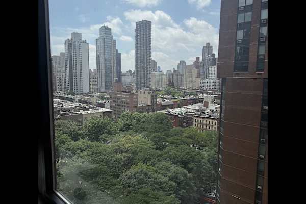 House sit in Manhattan, NY, US