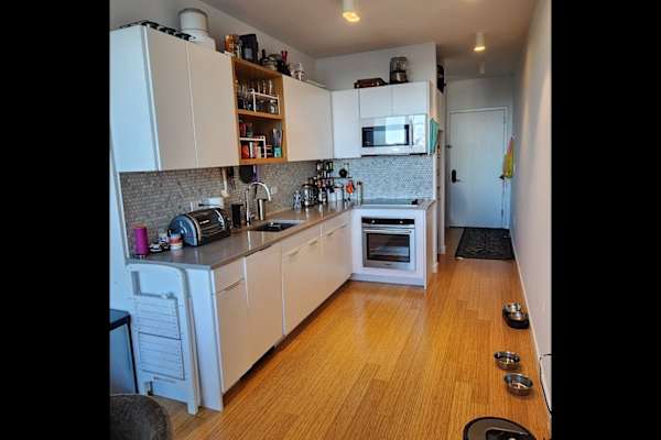 House sit in Stamford, CT, US