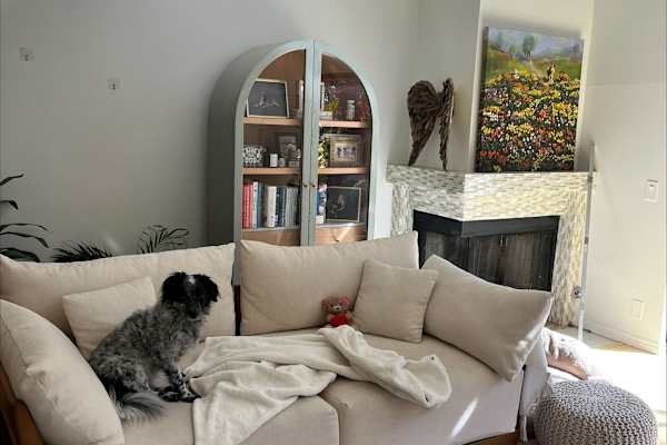 House sit in Los Angeles, CA, US