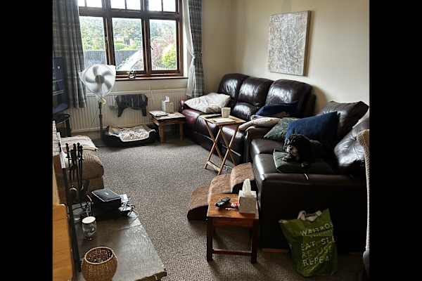 House sit in Hitchin, United Kingdom