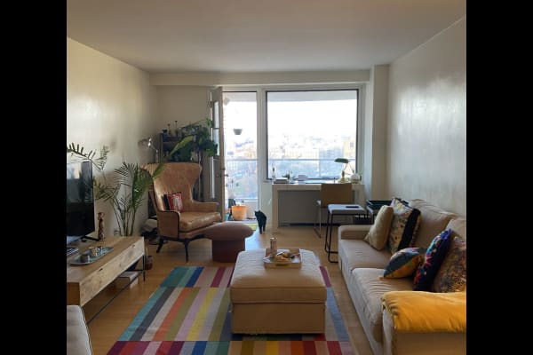 House sit in New York City, NY, US