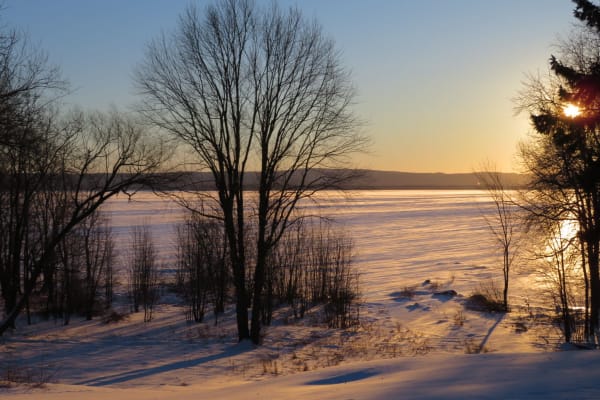 House sit in Saint-Placide, QC, Canada