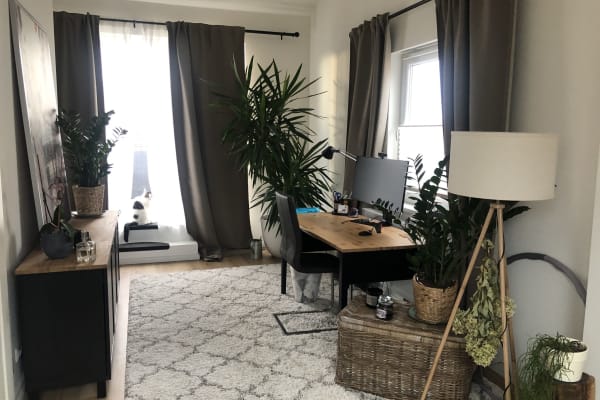 House sit in Lübeck, Germany