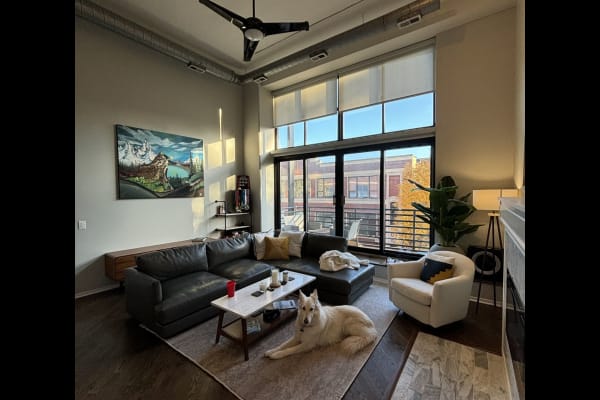 House sit in Chicago, IL, US