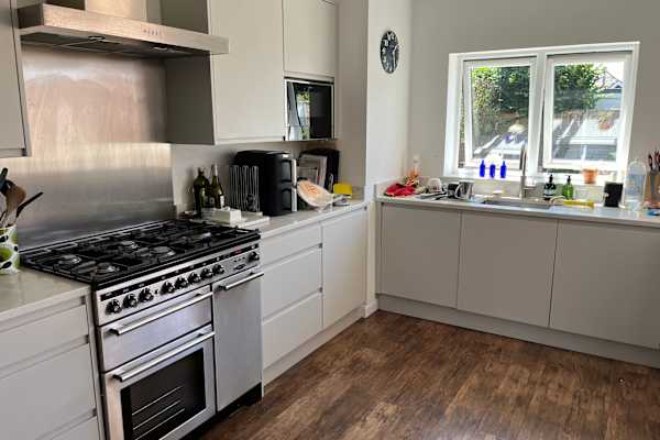 House sit in Christchurch, United Kingdom