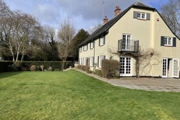 House sit in North Waltham, United Kingdom