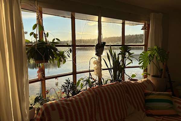 House sit in Halifax, NS, Canada