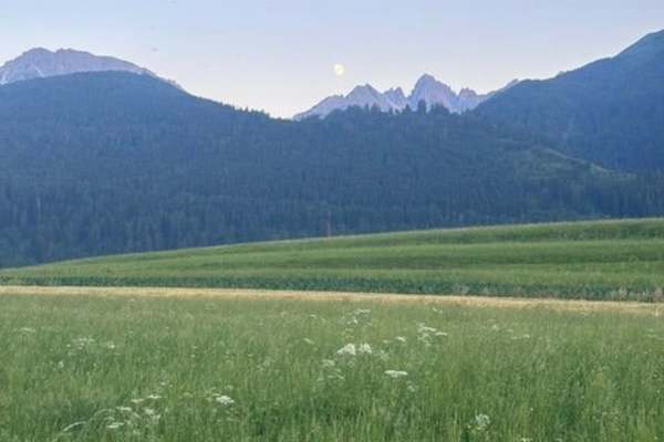 House sit in Axams, Austria