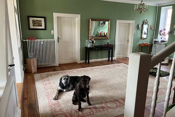 House sit in Lensahn, Germany