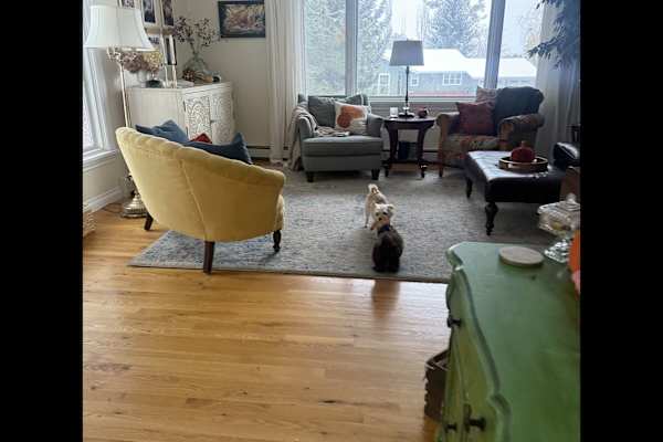 House sit in Missoula, MT, US