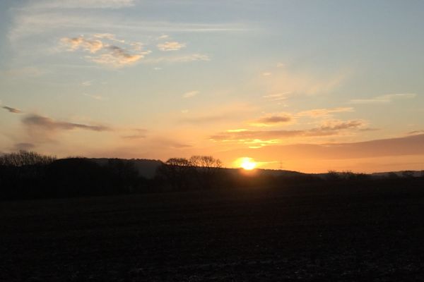 House sit in Marlborough, United Kingdom