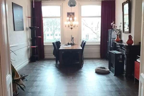 House sit in Amsterdam, Netherlands