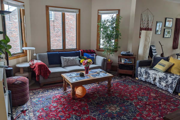 House sit in Somerville, MA, US