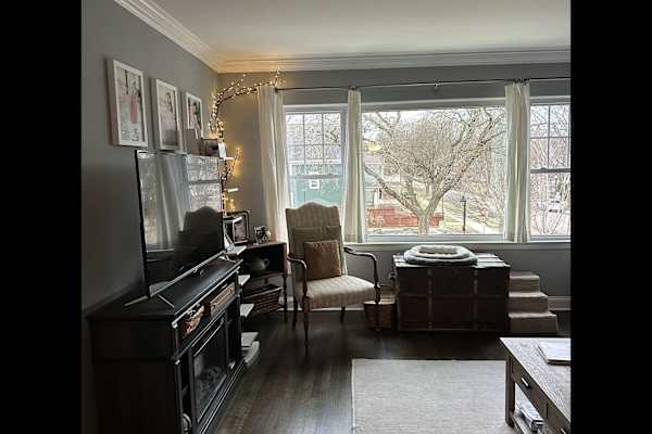 House sit in Chicago, IL, US