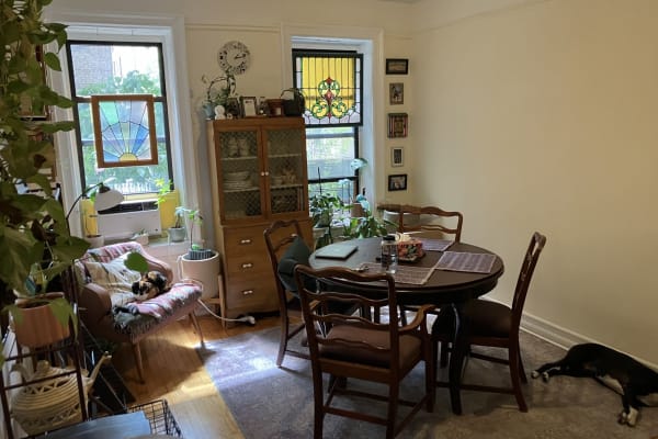 House sit in New York City, NY, US