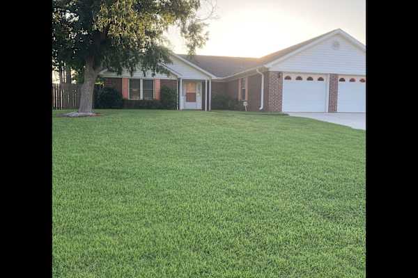 House sit in Foley, AL, US