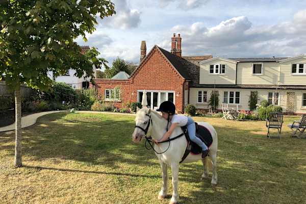 House sit in Newmarket, United Kingdom