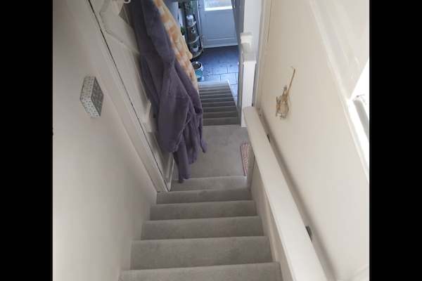 House sit in Chippenham, United Kingdom