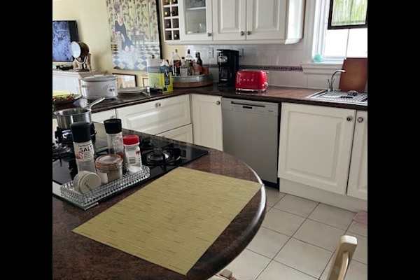 House sit in Midtown Toronto, ON, Canada