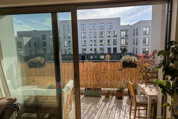 House sit in Brussels, Belgium