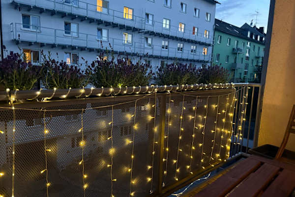 House sit in Munich, Germany