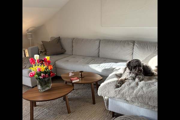 House sit in Genève, Switzerland