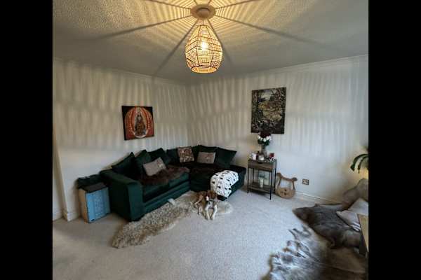 House sit in Glastonbury, United Kingdom