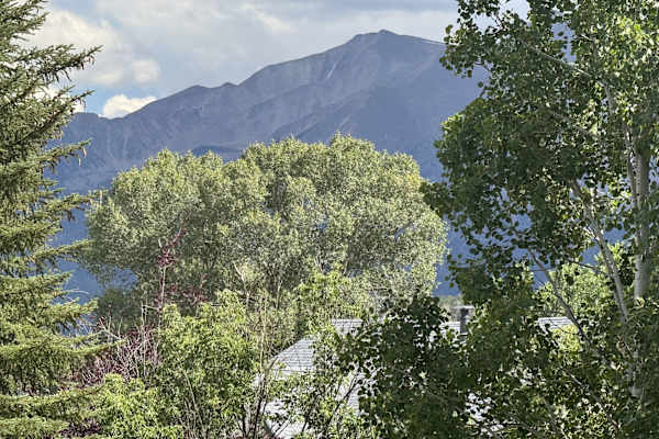 House sit in Carbondale, CO, US