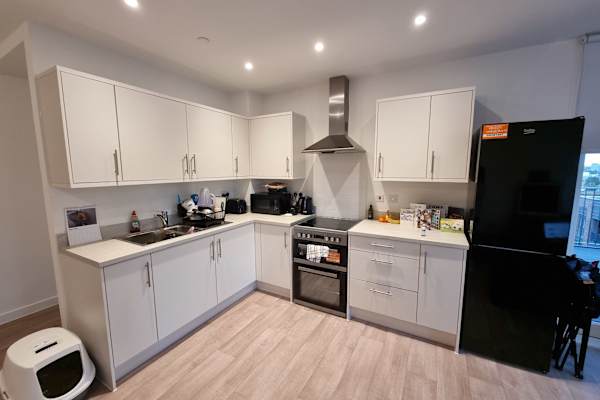 House sit in Fulham, United Kingdom