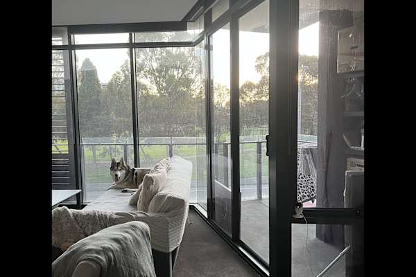 House sit in Melbourne, VIC, Australia