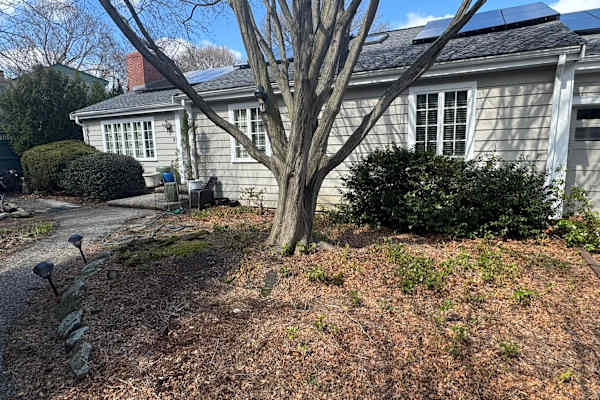 House sit in Boston, MA, US