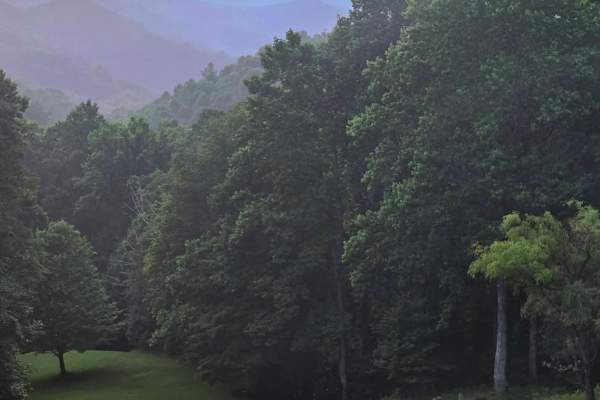 House sit in Hot Springs, NC, US