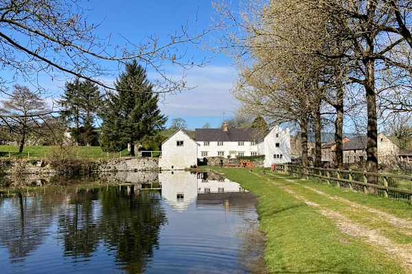 House sit in Nannerch, United Kingdom