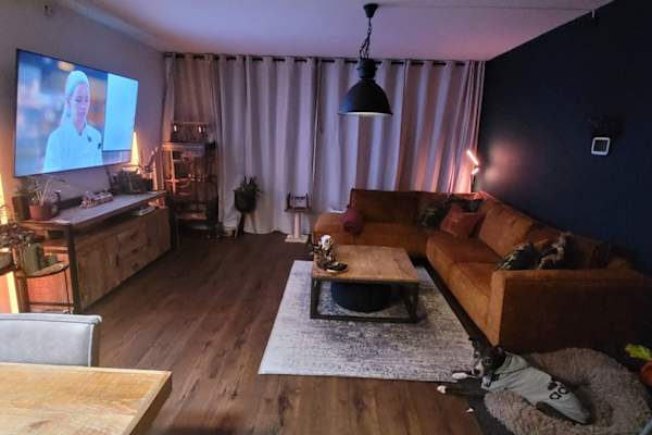 House sit in Gouda, Netherlands