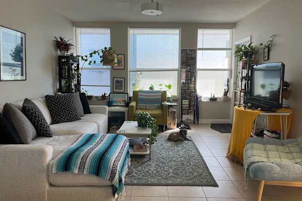 House sit in Miami, FL, US