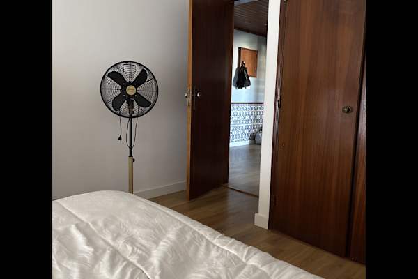 House sit in Rio de Mouro, Portugal