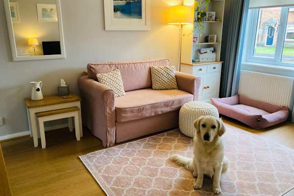 House sit in Frome, United Kingdom