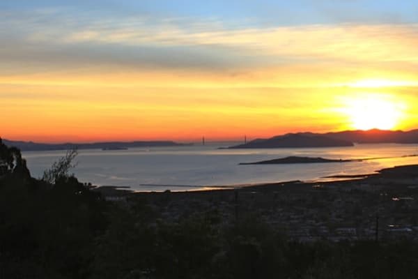 House sit in El Cerrito, CA, US